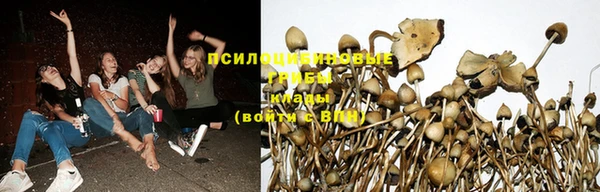 герыч Алзамай