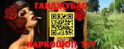индика Гусев