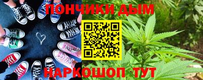 индика Гусев