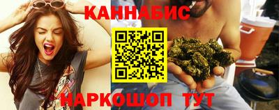 индика Гусев
