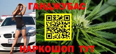 индика Гусев