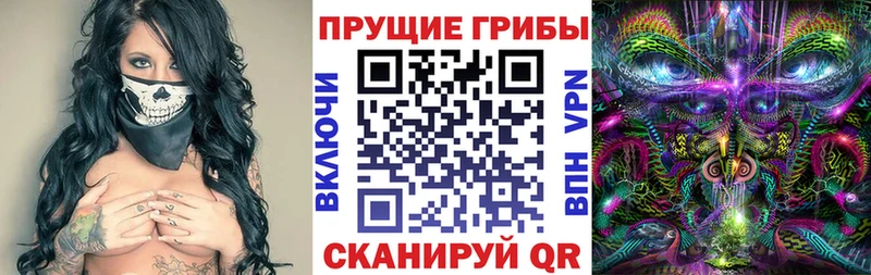 Галлюциногенные грибы Psilocybe  blacksprut онион  Углич 